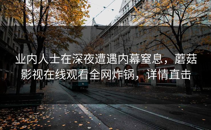 业内人士在深夜遭遇内幕窒息，蘑菇影视在线观看全网炸锅，详情直击