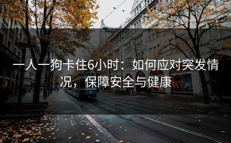 一人一狗卡住6小时：如何应对突发情况，保障安全与健康